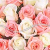 Амур - букет из кремовых и розовых роз 2